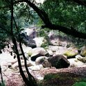 AUS QLD Babinda 2001JUL17 Boulders 005  We're in the middle of tropical rain forest country. : 2001, 2001 The "Gruesome Twosome" Australian Tour, Australia, Babinda, Boulders, Date, July, Month, Places, QLD, Trips, Year